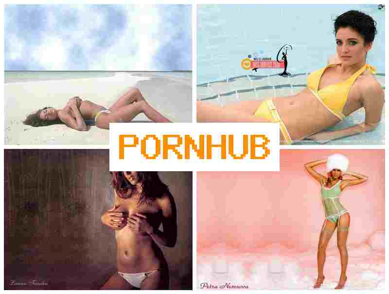 PIRN HUB 💋 Stripping Webcams