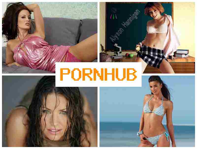 P0RN HUB 🔺 Webcam XXX POV Anal Porn
